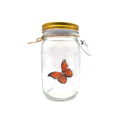 Butterfly in a Jar