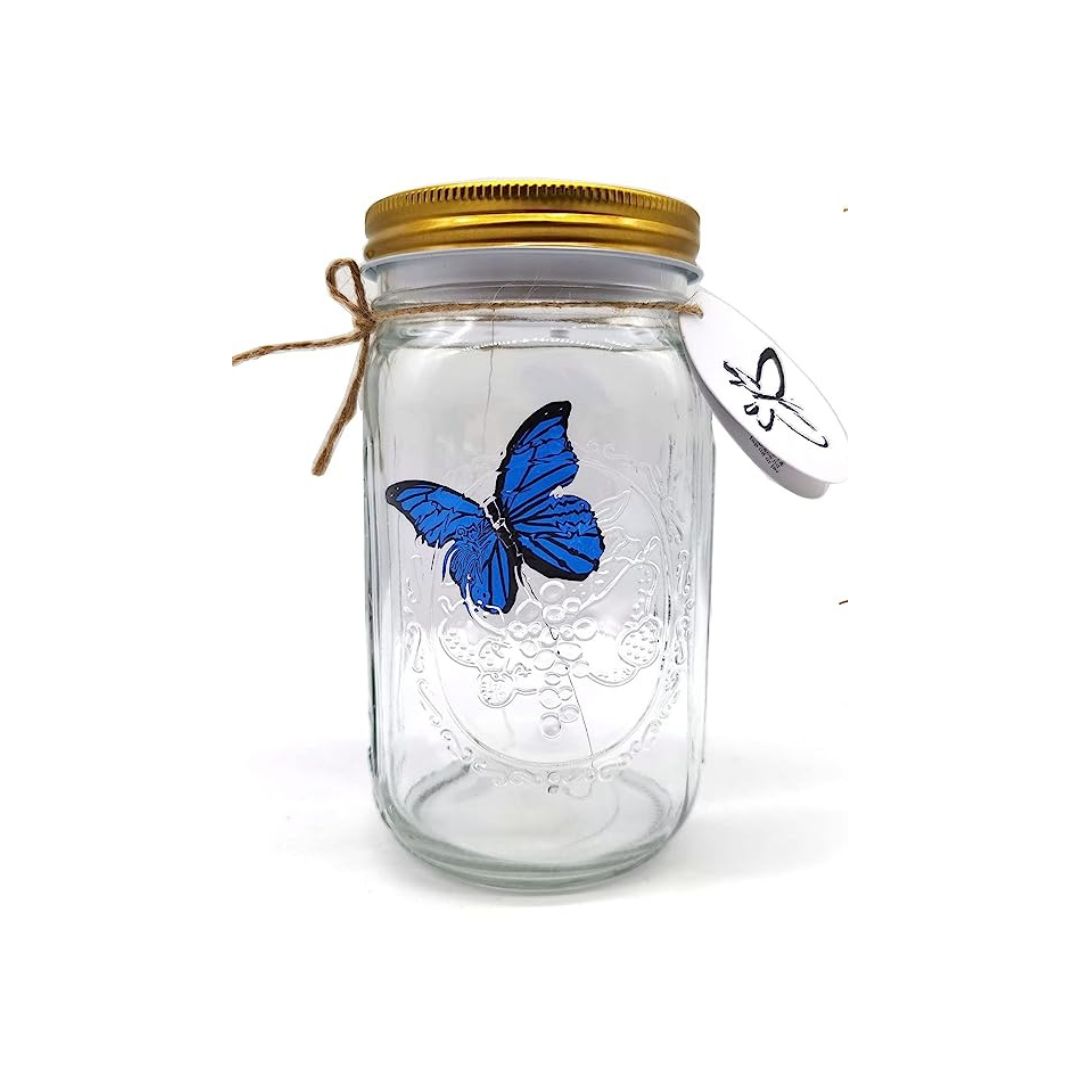 Butterfly in a Jar