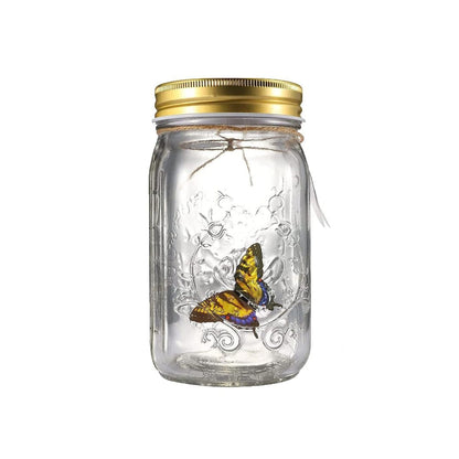 Butterfly in a Jar